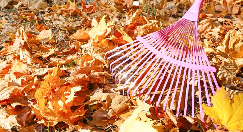 Tényleg muszáj összegereblyézni a leveleket, vagy jobb, ha nem teszed