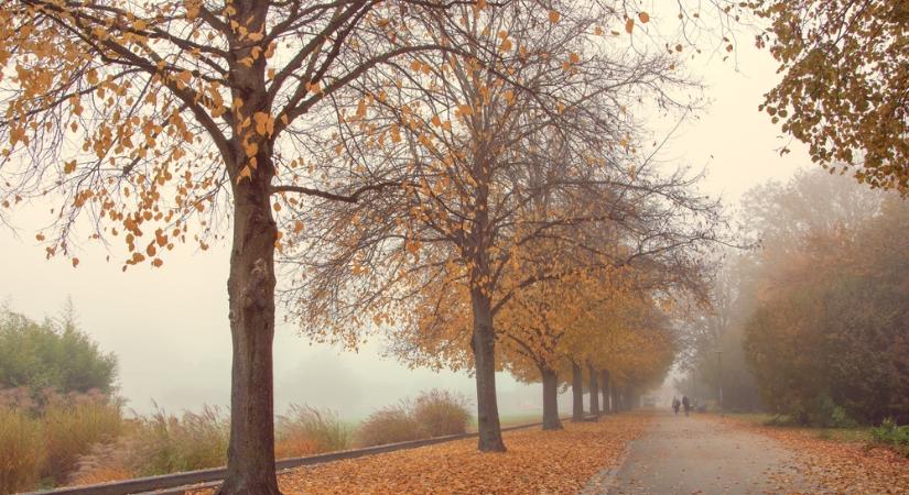 Párás, ködös reggelek után napos idő jön