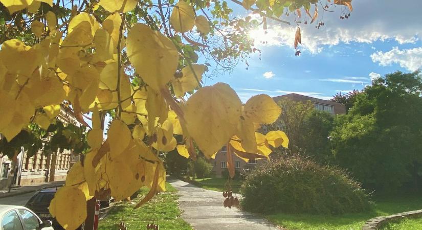 November az új tavasz? Meglepő, mit tartogat számunkra az időjárás Borsodban