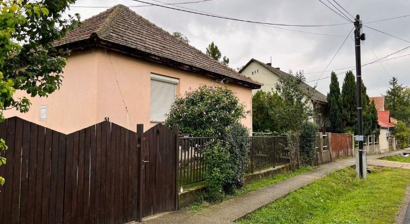 Ezzel a növénnyel bástyázd körbe az otthonod, ha nem akarod, hogy patkánytanyává váljon!