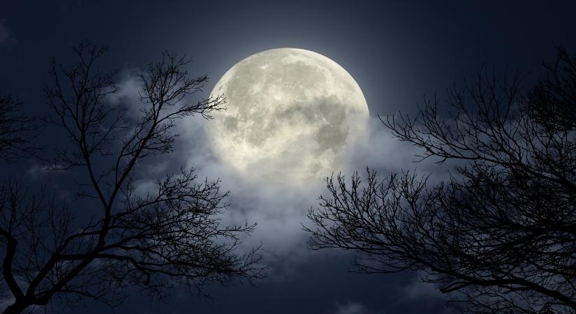 Csillagjegyek, akiket magával ragad a novemberi Hód Hold