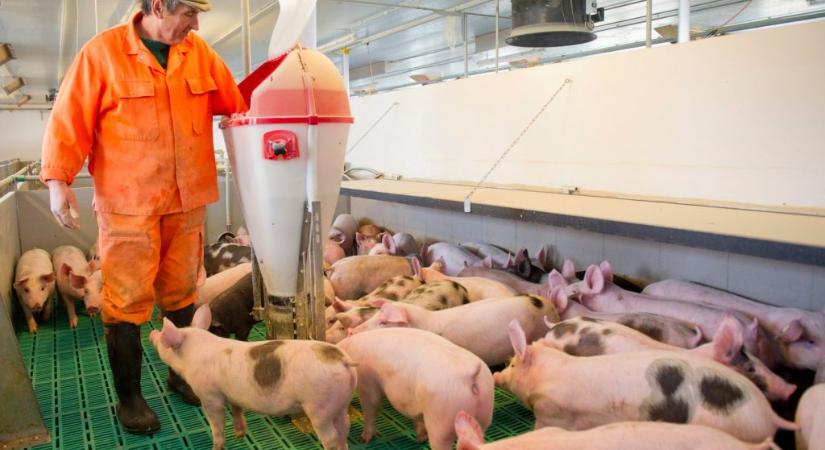 Takarékbank: nehéz év vár az állattenyésztőkre