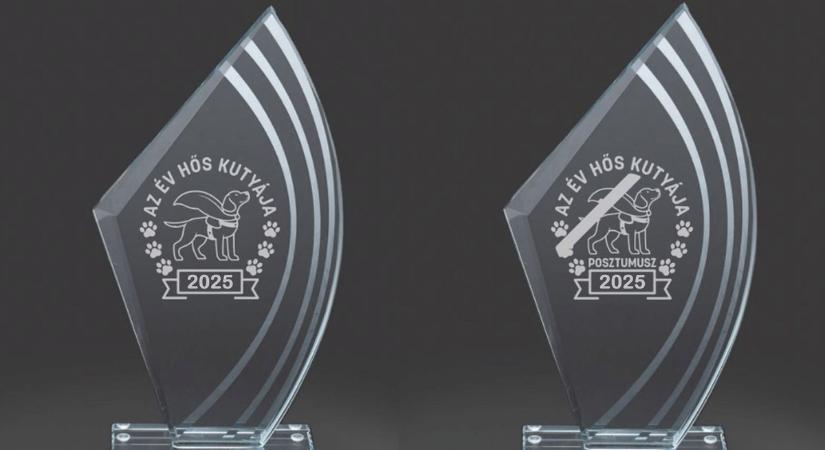 Megvan Az Év Hős Kutyája 2025 cím nyertese!
