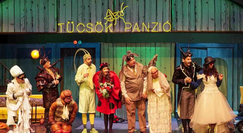 MINDENFÉLE CSÚF BOGÁR VENDÉG AKAR LENNI Pass Andrea: Tücsök Panzió / Vaskakas Bábszínház, Győr