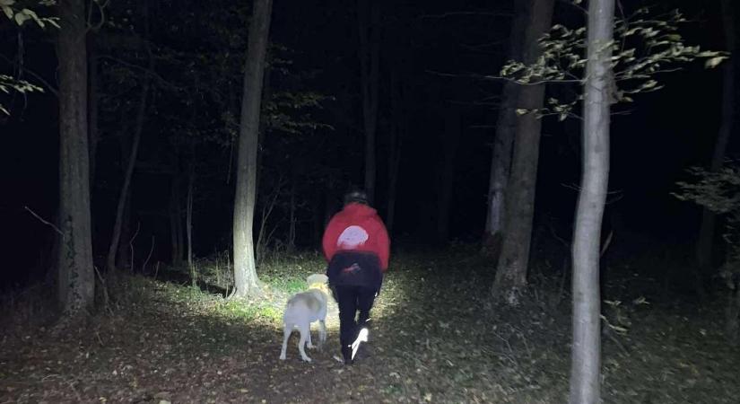 Remény és kétség között: Négy napja keresik a túrázás közben eltűnt 72 éves miskolci asszonyt