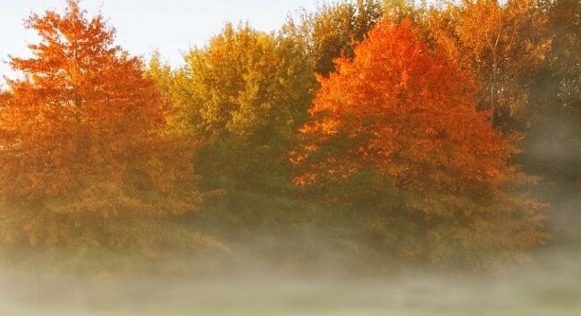 Időjárás november 5-én: Ködbe burkolózik a szerda – vajon mikor előbukkan a nap is?