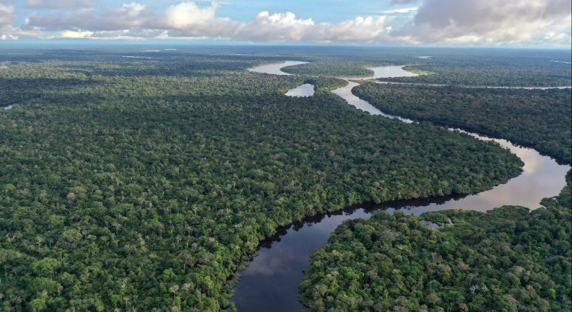 Nagy csapás az illegális aranybányászatnak, akciózott az Interpol