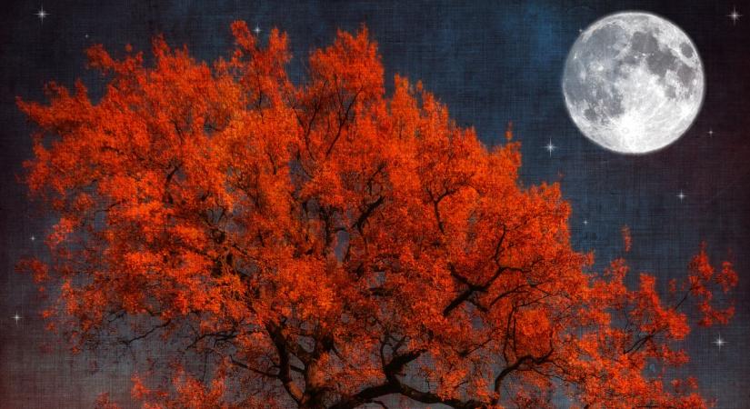 Napi horoszkóp 2025. 11. 05.: A Bika telihold napja: az érzékek ünnepe