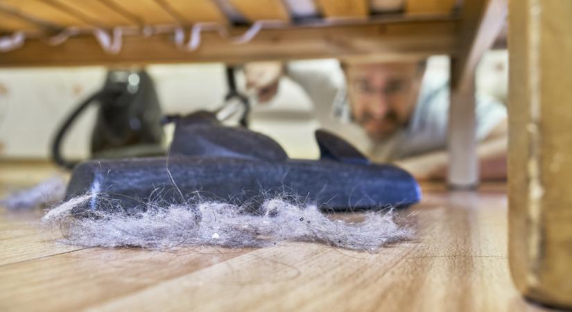 Önnél is gyülekeznek a porcicák? Így veheti fel velük a harcot