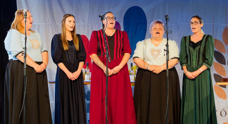 Keltike 20 - Húsz év dalban, közösségben, szívvel-lélekkel