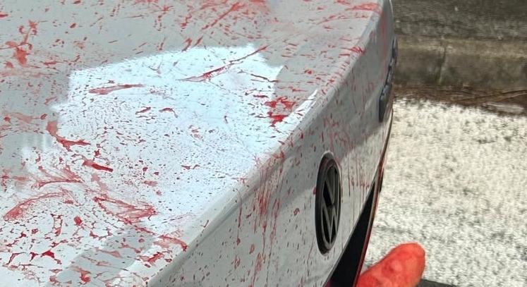 Holttest kandikált ki az autóból, de nem ez volt a legnagyobb baj vele