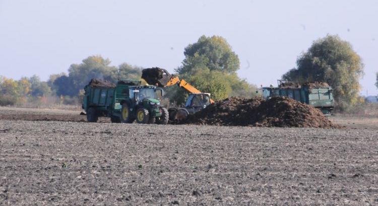 Istállótárgyázás AKG-ban – Így járjon el!