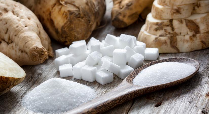 Elmaradt a fellendülés? Idén se jött be a gazdák számítása ezzel a növénnyel