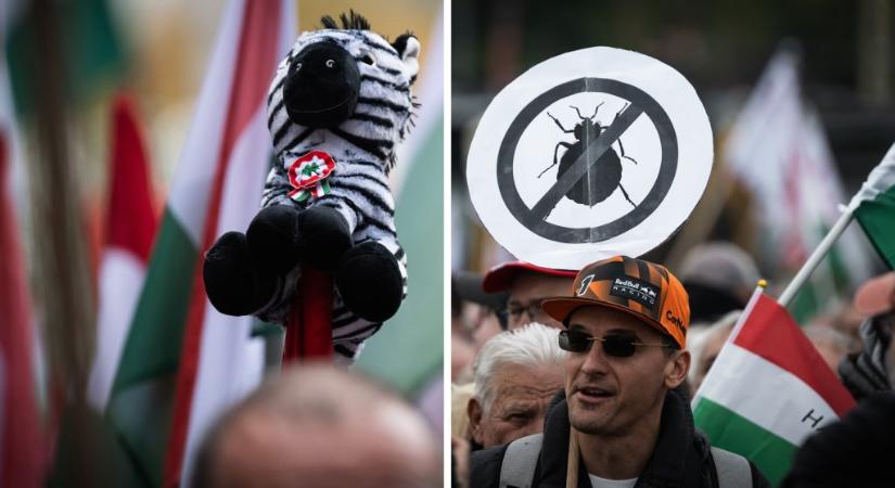 Visszatért a közvélemény-kutatók háborúja: a kormánypárti intézetek Fidesz-előnyt mérnek, a függetleneknél elhúzott a Tisza