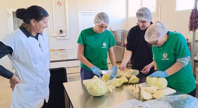 Ez a tökéletes savanyú káposzta receptje, a Mezgében még ma is így készítik – fotók, videó