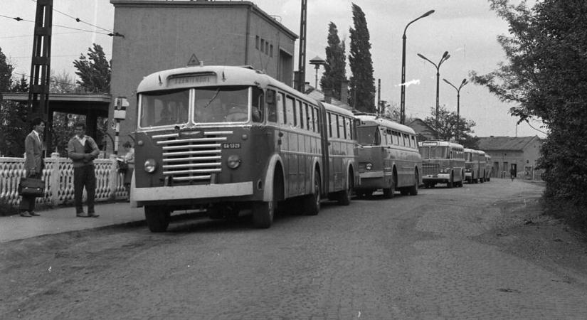 65 éve indult útjára az első csuklós busz, a világon elsőként Budapesten