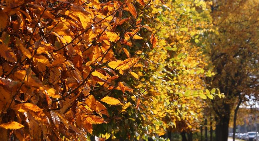 Hűvös reggel után napos őszi idő