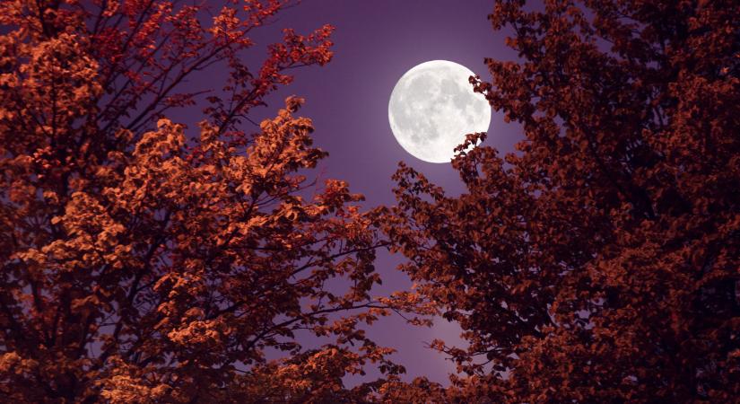 Ami ma jön Magyarországon, arra sokan felkapják a fejüket