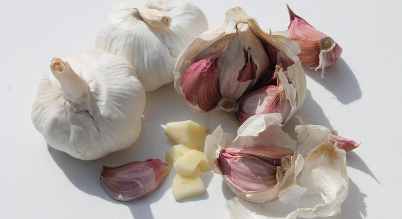 A fokhagyma bosszúja – miért nem szereti a műtrágyát?