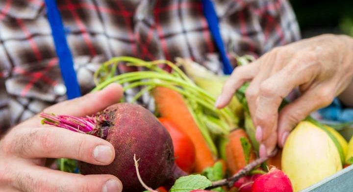 Tengeri, buborka és csucsorka: felismered a zöldségek népies nevét?