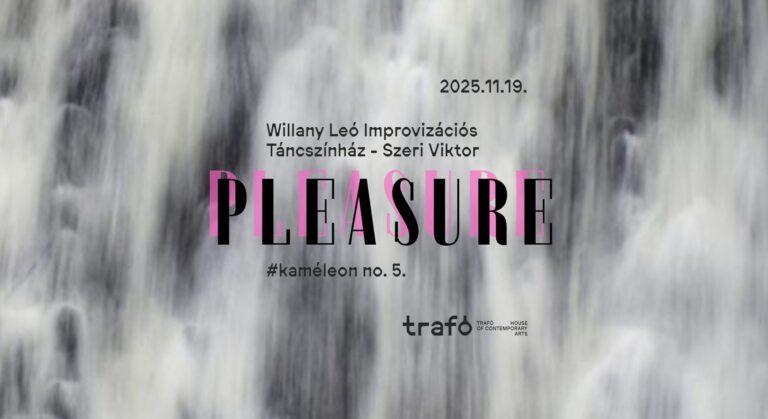 Új bemutatóra készül a Trafóban a Willany Leó