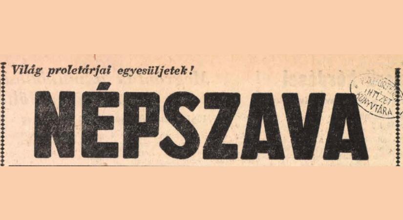 Egy gonosz végbélszakértő