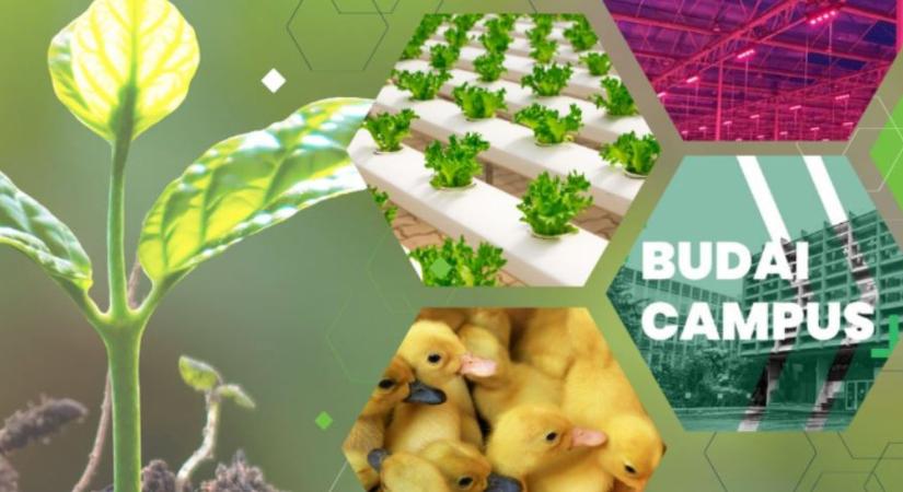 III. AgroLight Fórum