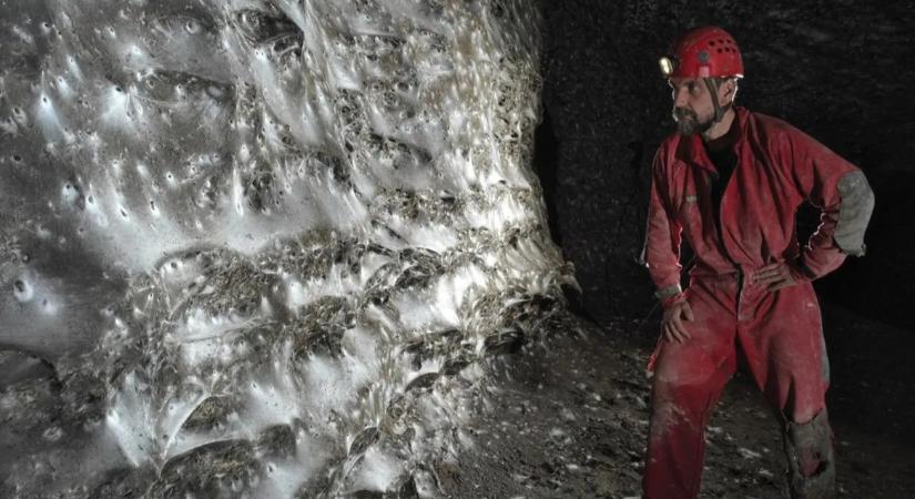 Megtalálták a világ legnagyobb pókhálóját – egy igazi pókvárost