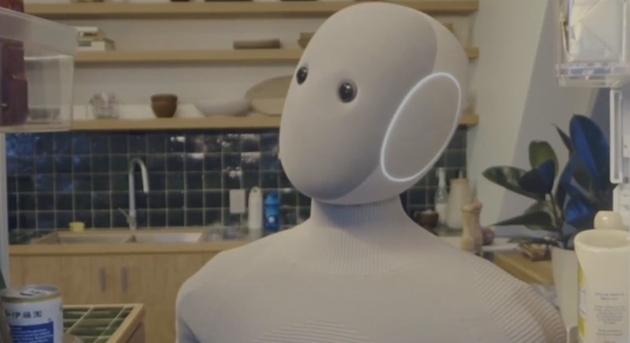 Egy embert is magához költöztet, aki használni akarja a 20 ezer dolláros robotját