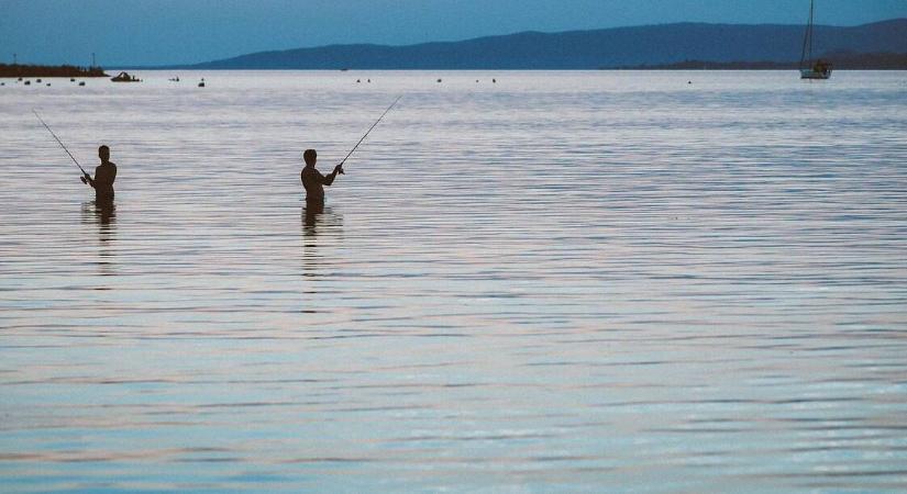 Halálos faj terjed a Balatonban, kíméletlenül pusztítja az élővilágot