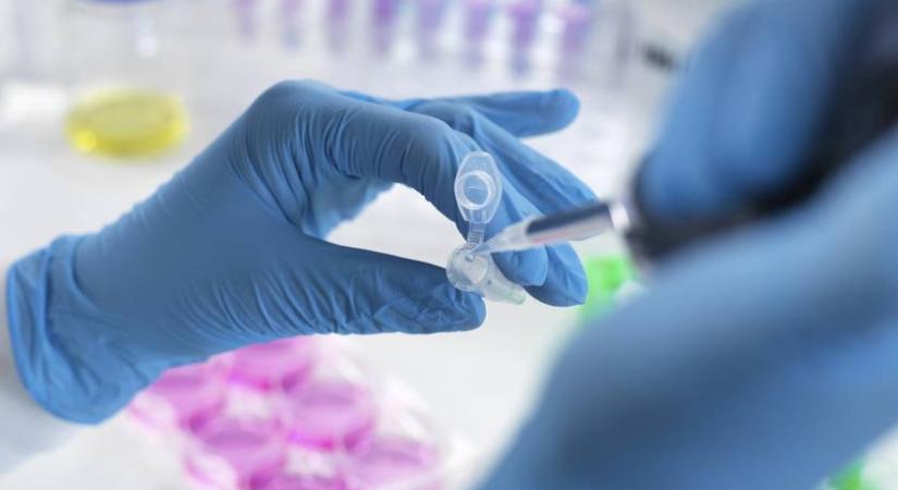 Új korszakot nyithat ez a magyar rákgyógyszer: egyetlen kezeléssel meggyógyította a kísérleti állatokat