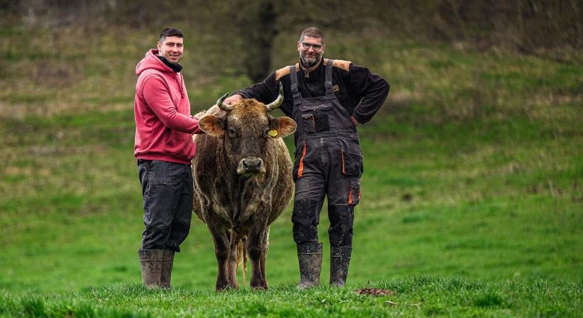 A kiszolgáltatottság ellen: a legelőtől az asztalig! Európát is meghódította a zalai szupertej és a borjúszalámi