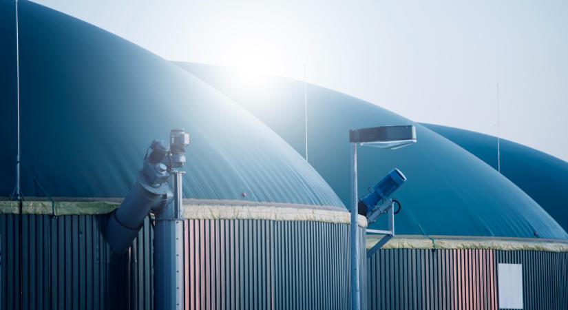 Milliárdos beruházás a MATE-n: különleges üzemet hoztak létre az egyetemen