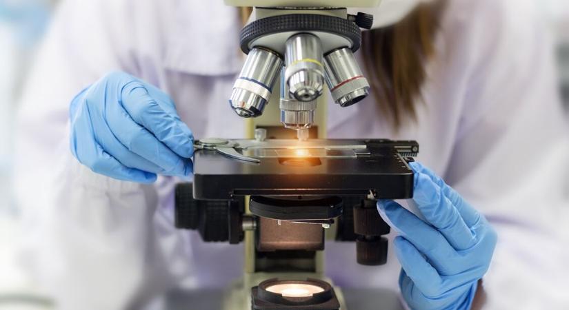 Egyetlen adag, és eltűntek a rákos sejtek – magyar kutatók áttörése