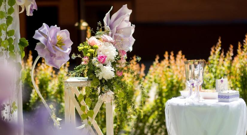 Esküvői rémálom – áramszünet, hangyák és nyílt nap a nagy napon