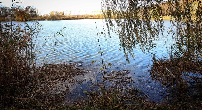 Friss hírek Sötétvölgyből: mutatjuk, milyen állapotba került most a kedvelt kirándulóhely tava (képgalériával és videóval)
