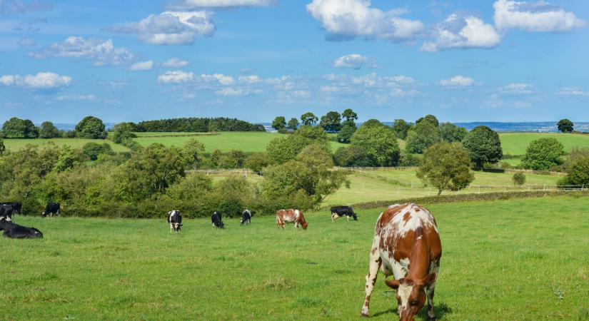 Állattenyésztés nélkül nincs fenntartható élelmezésbiztonság
