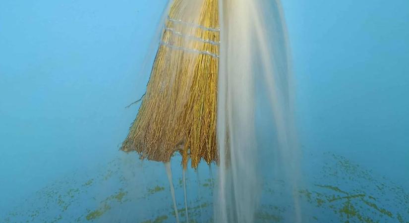 Borhibák és borbetegségek – A 2025-ös évjáratban is figyeljünk a megelőzésre