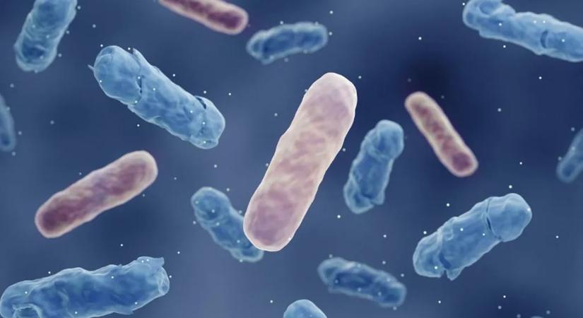 Az eddigieknél 100-szor erősebb antibiotikumot fedeztek fel!