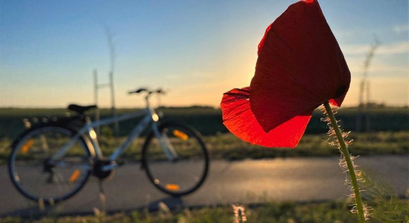 Íme a friss adatok: ennyien pattantak nyeregbe a Tisza-tónál októberben