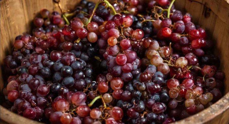 Megjelent a Microsoft saját, belső fejlesztésű képgenerátora