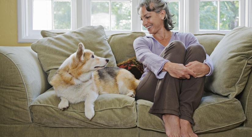 Ezért ássák el a kutyák az ételt és játékokat