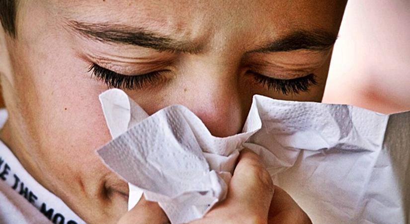 Enyhíti a lázat, gyógyítja a tüdőgyulladást, a sebeket és még a cukorbetegségben is hatásos