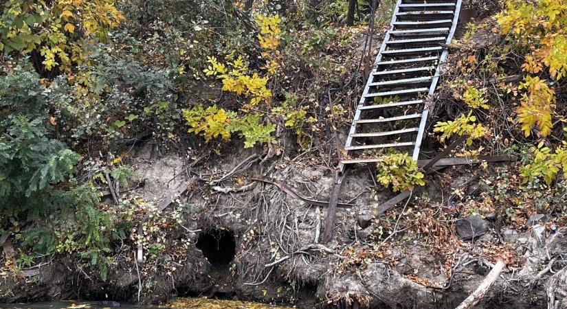 Rejtélyes üreget találtunk a Tisza-parton Szegednél – a szakértő elárulta, kik laknak benne