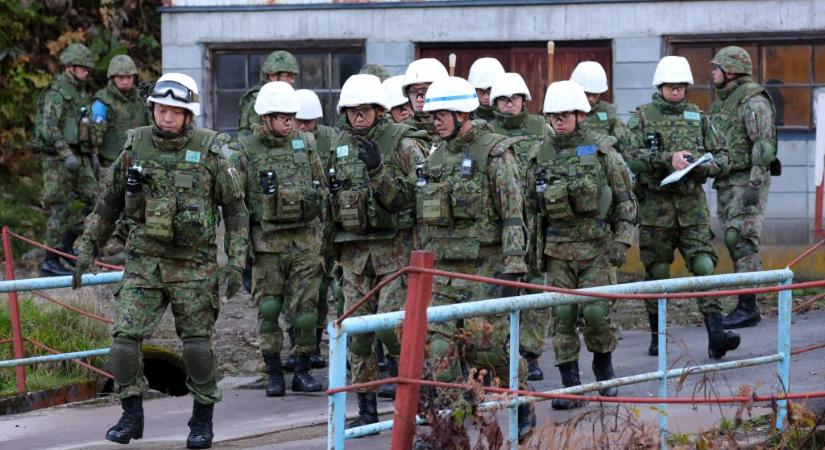 Már a katonaságot is bevetik a medvék ellen Japánban