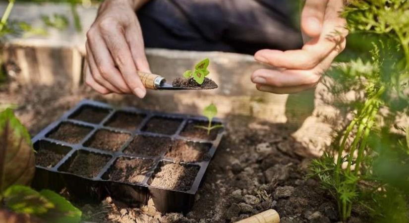 A jövő agráriuma: permakultúra, tanúsítás és versenyképesség kéz a kézben