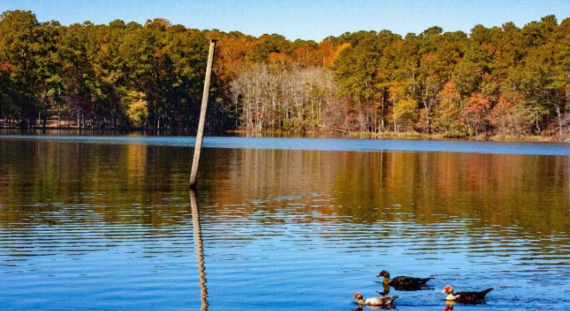 Hihetetlen, de igaz: a következő napokban még mindig nem jön komoly hideg!