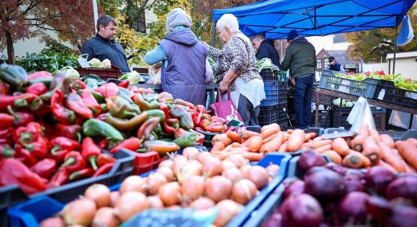 A töpörtyű áránál mindenki megállt egy pillanatra – vitték, mintha ingyen volna (képgalériával)