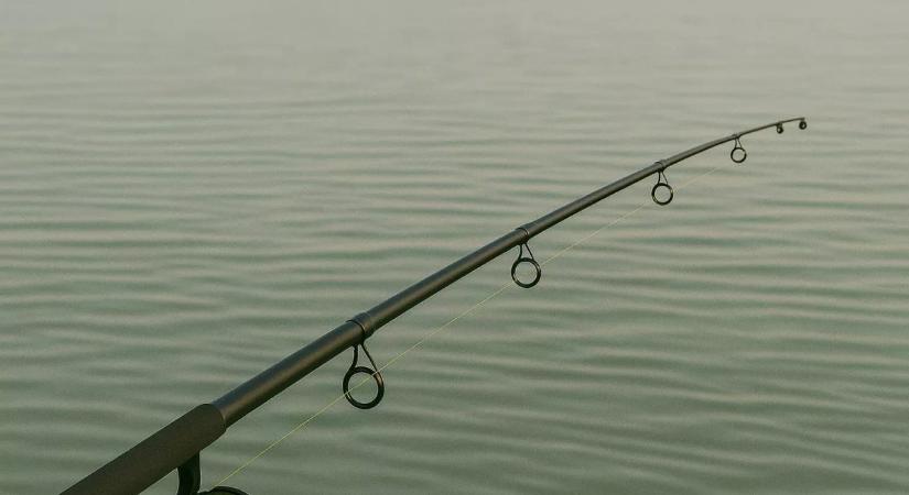 „Amikor megláttuk, szóhoz sem jutottunk” – a házaspár nem hitte el, mi akadt a hálójukba Tiszateleken!