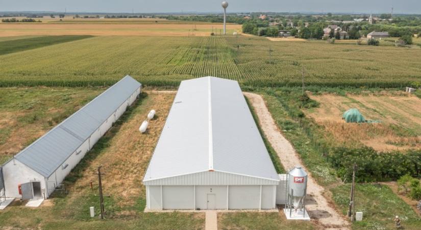 Acélcsarnokok a gyakorlatban: helyszíni bejárás Nagytarcsán